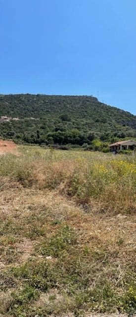 Οικόπεδο 900τ.μ.