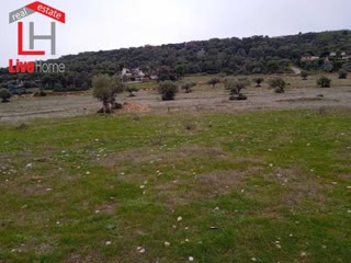 Οικόπεδο 644τ.μ.