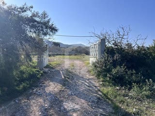 Οικόπεδο 5167 τ.μ.