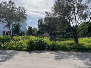 Οικόπεδο 786 τ.μ.