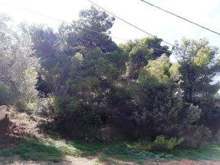 Οικόπεδο 1050τ.μ.