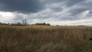 Продаж земельної ділянки 15 соток, с. Попелі (біля Борислава)