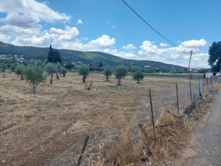 Οικόπεδο 5600 τ.μ.