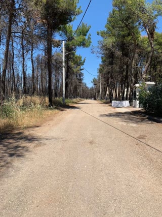 Οικόπεδο 2047 τ.μ.
