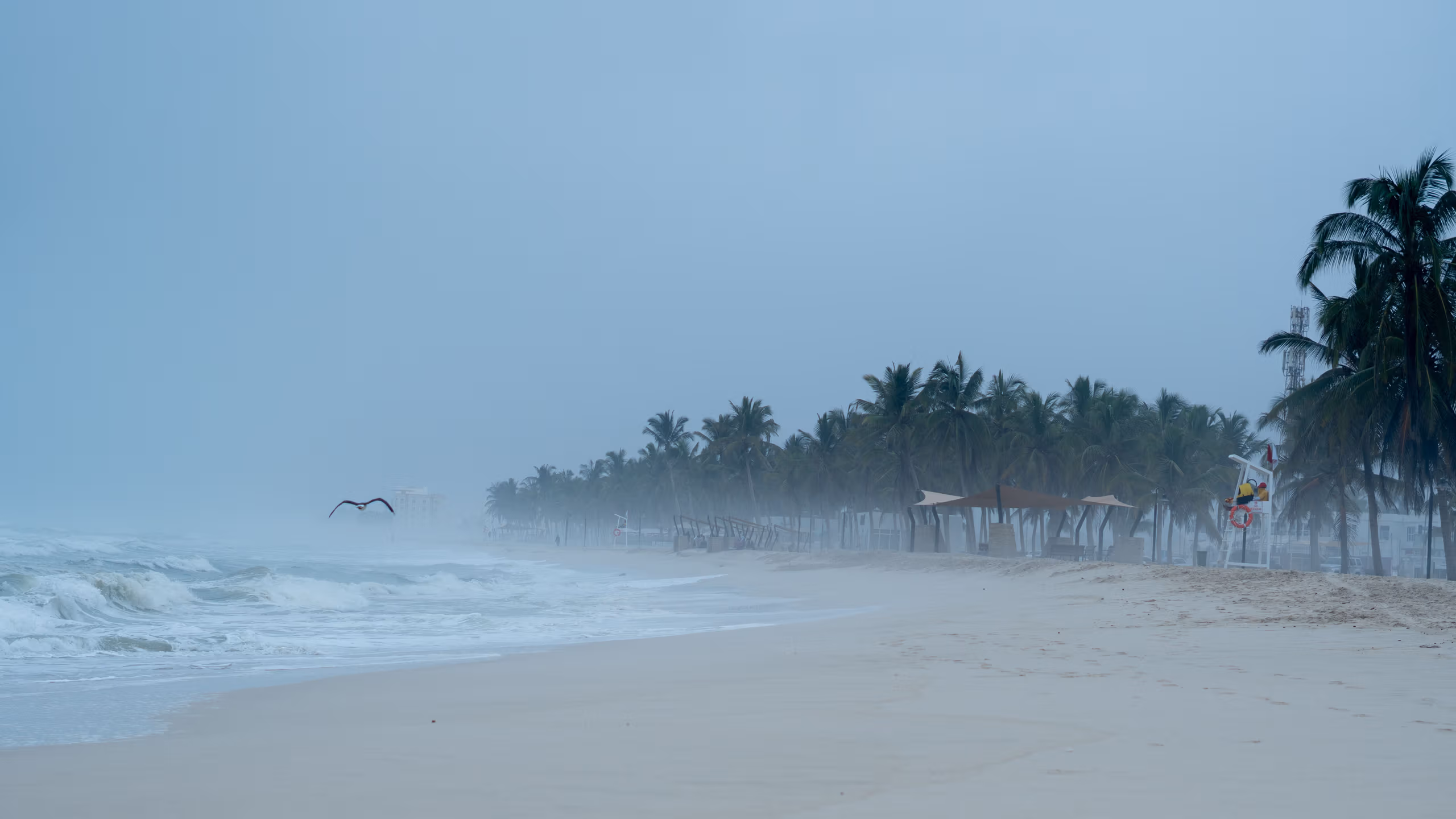 Battered Coasts and Eerie Calms