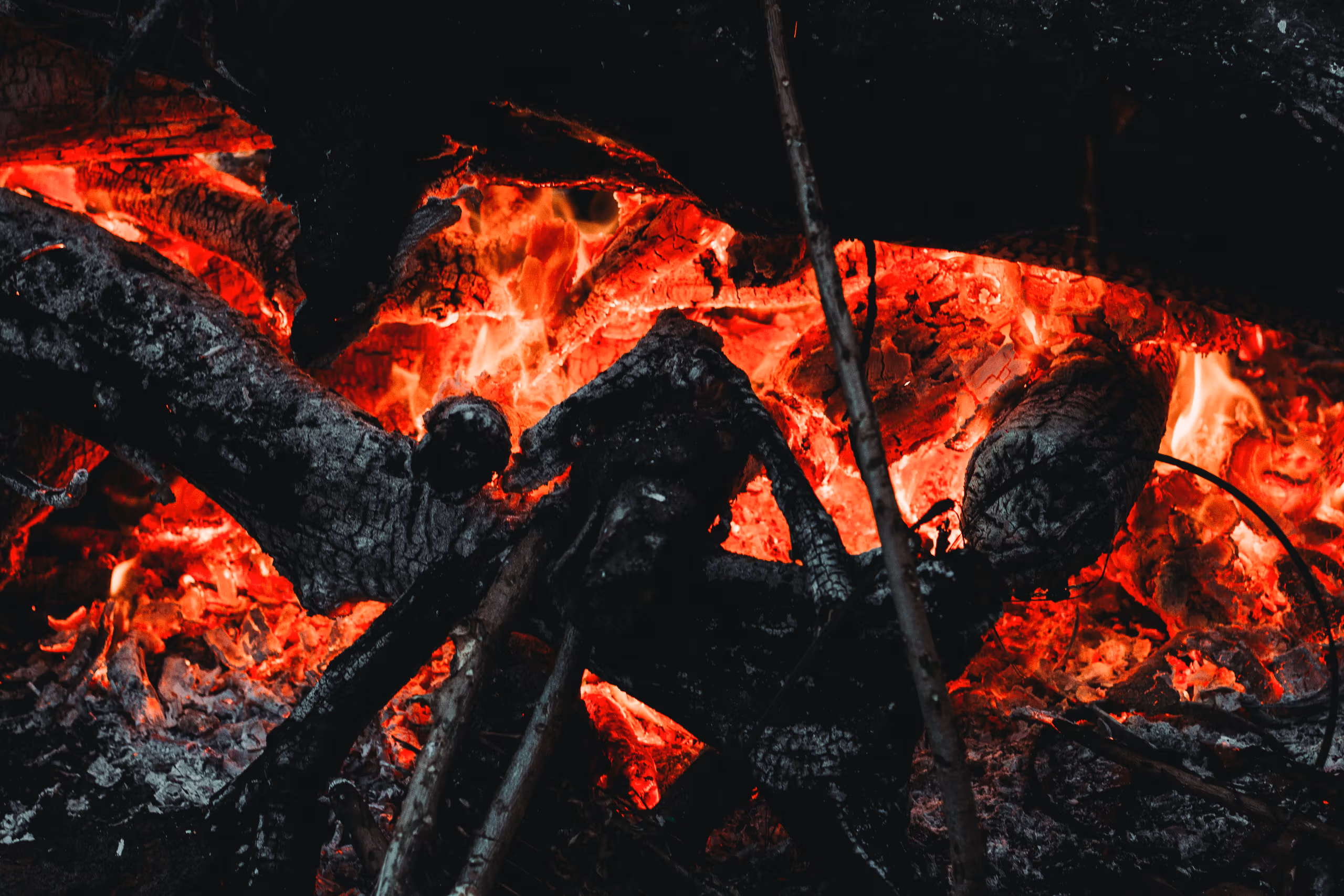Gunshots and Hubris: The Lingering Ashes of the Bitsch Inferno
