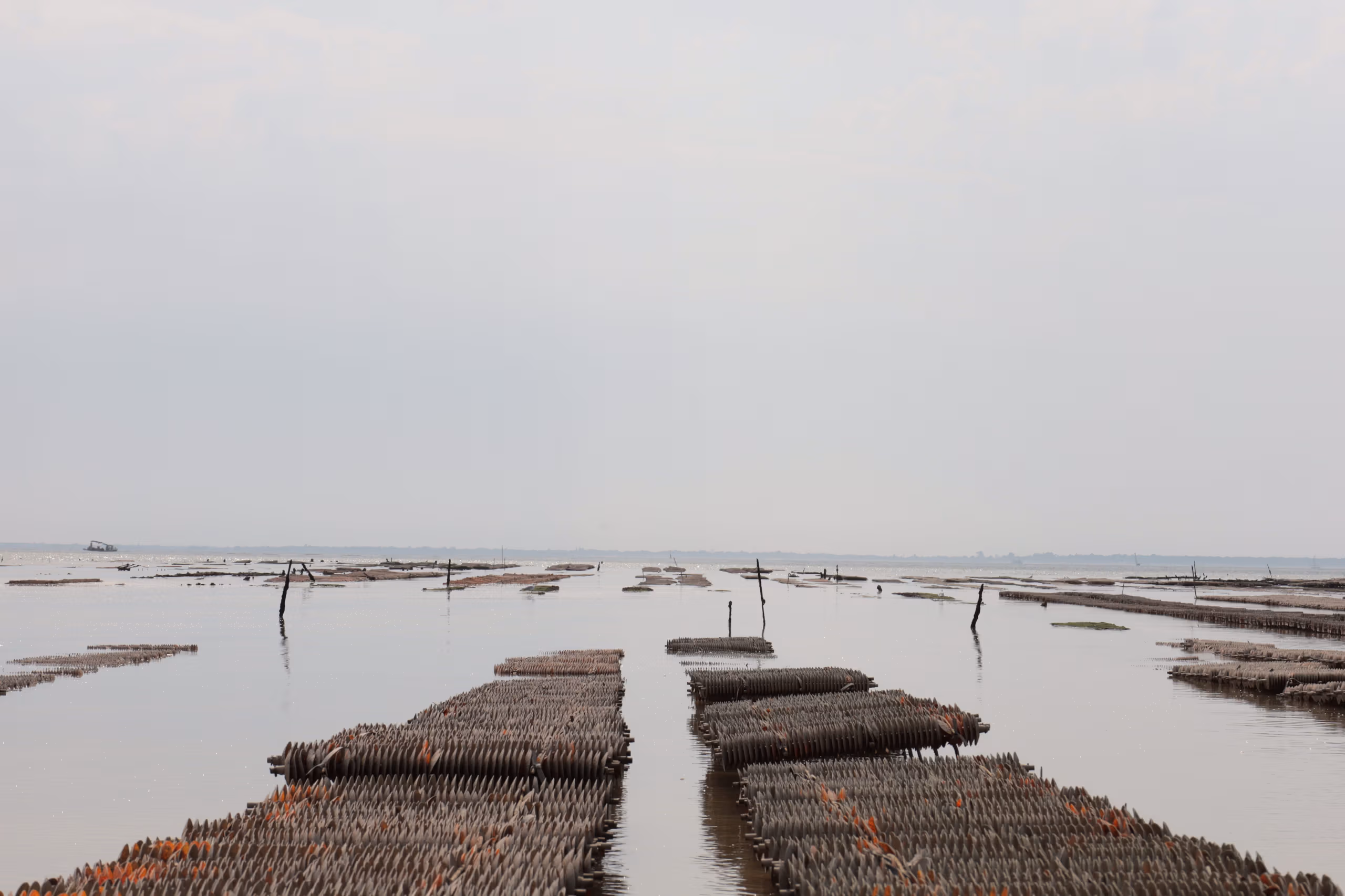 The oyster heist that left a whole industry counting bags
