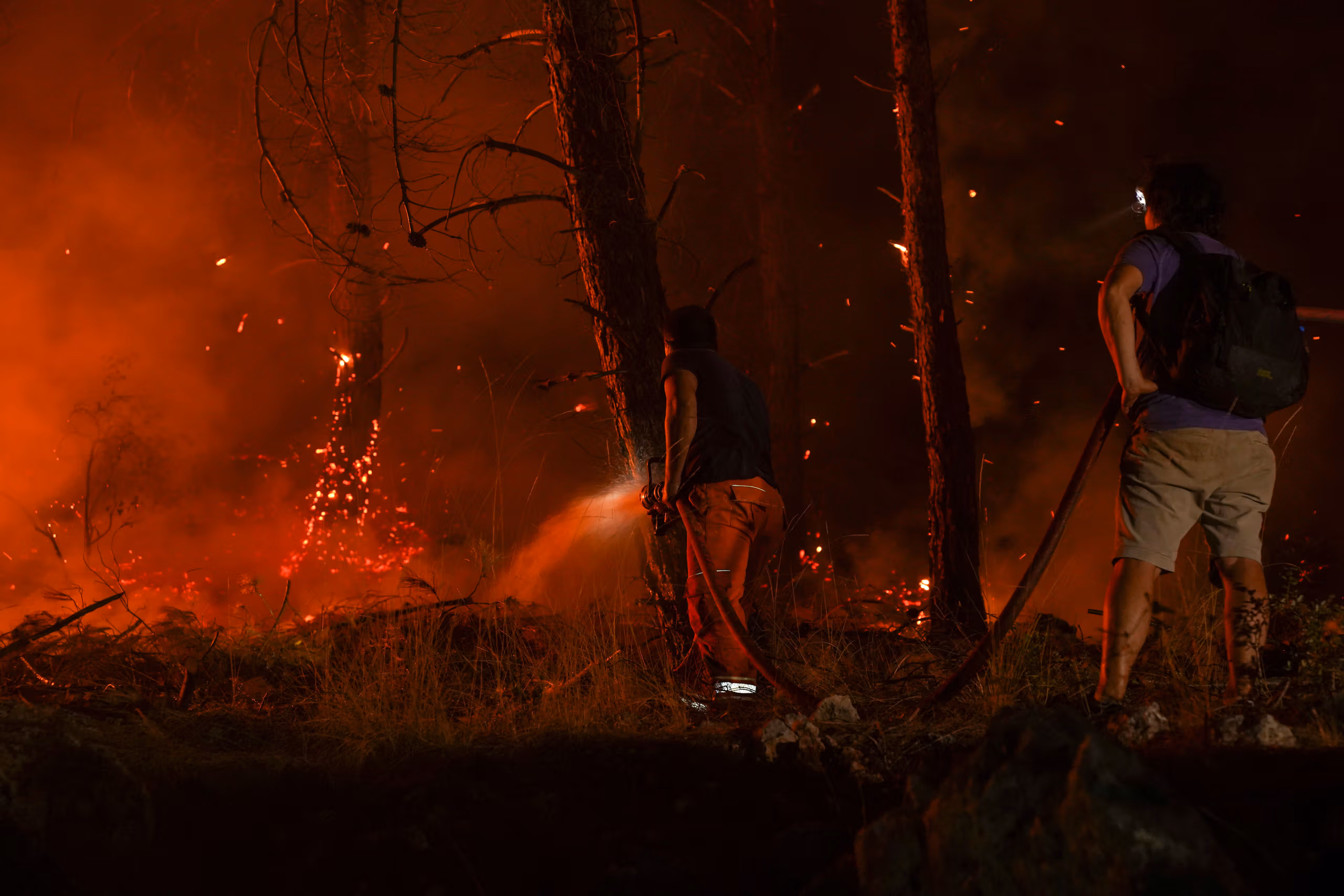 Ashes and Apathy: France's Wildlife Pays the Price for State Paralysis