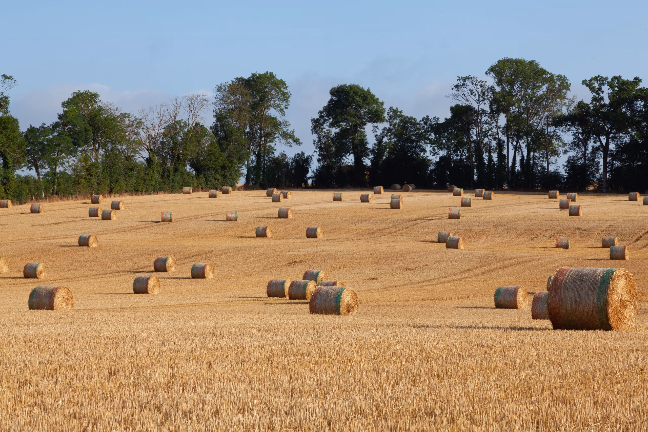 France’s farm rescue bill has become a test of political nerve