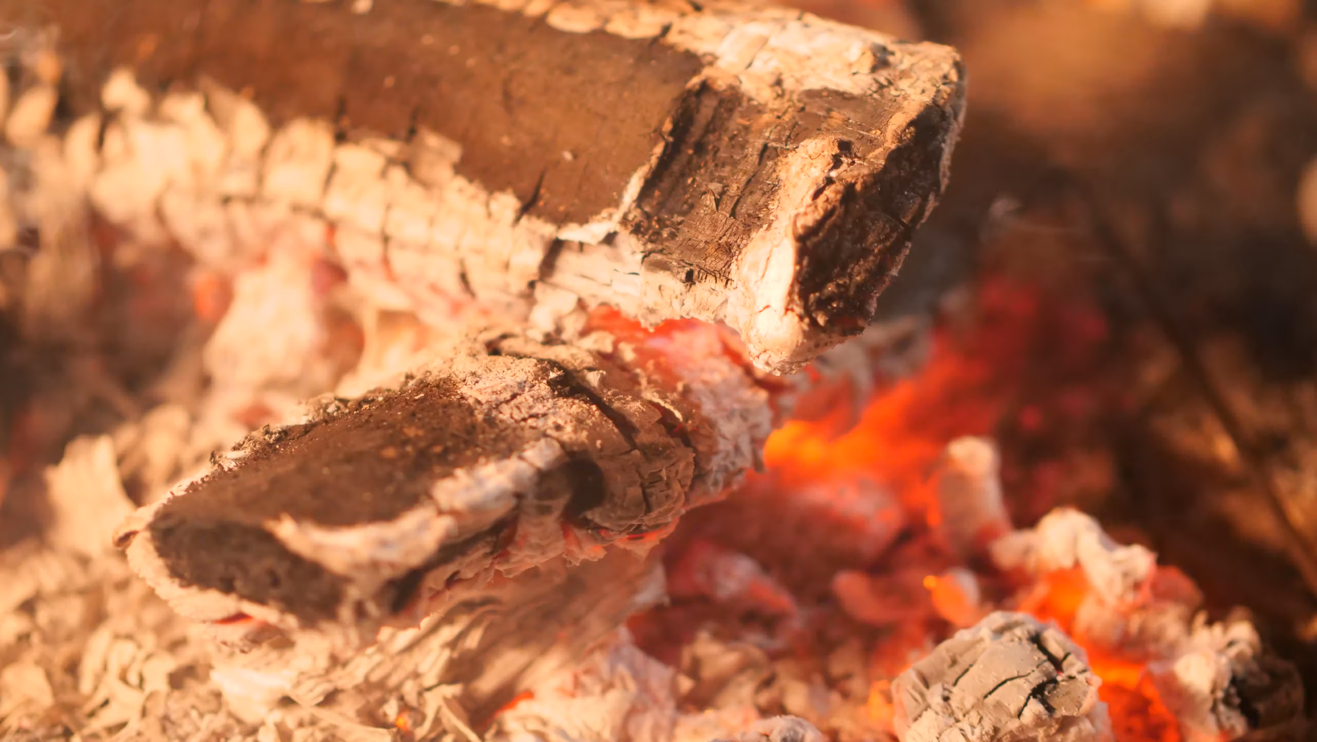 Stone, Shade, and Common Sense: How a Croatian Island Outsmarts the Summer Heat