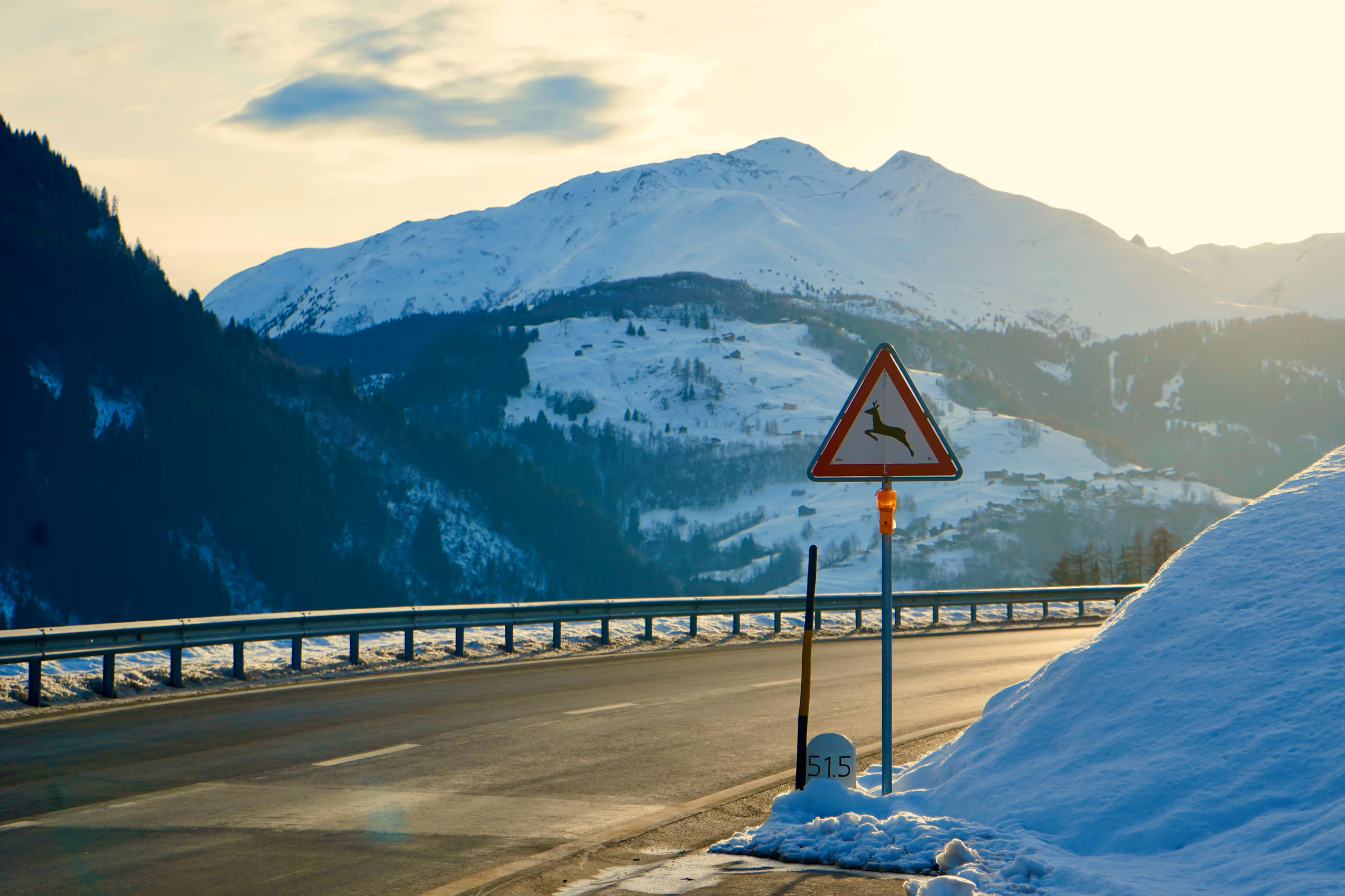 European Road Roulette: Where State Incompetence Meets the Asphalt