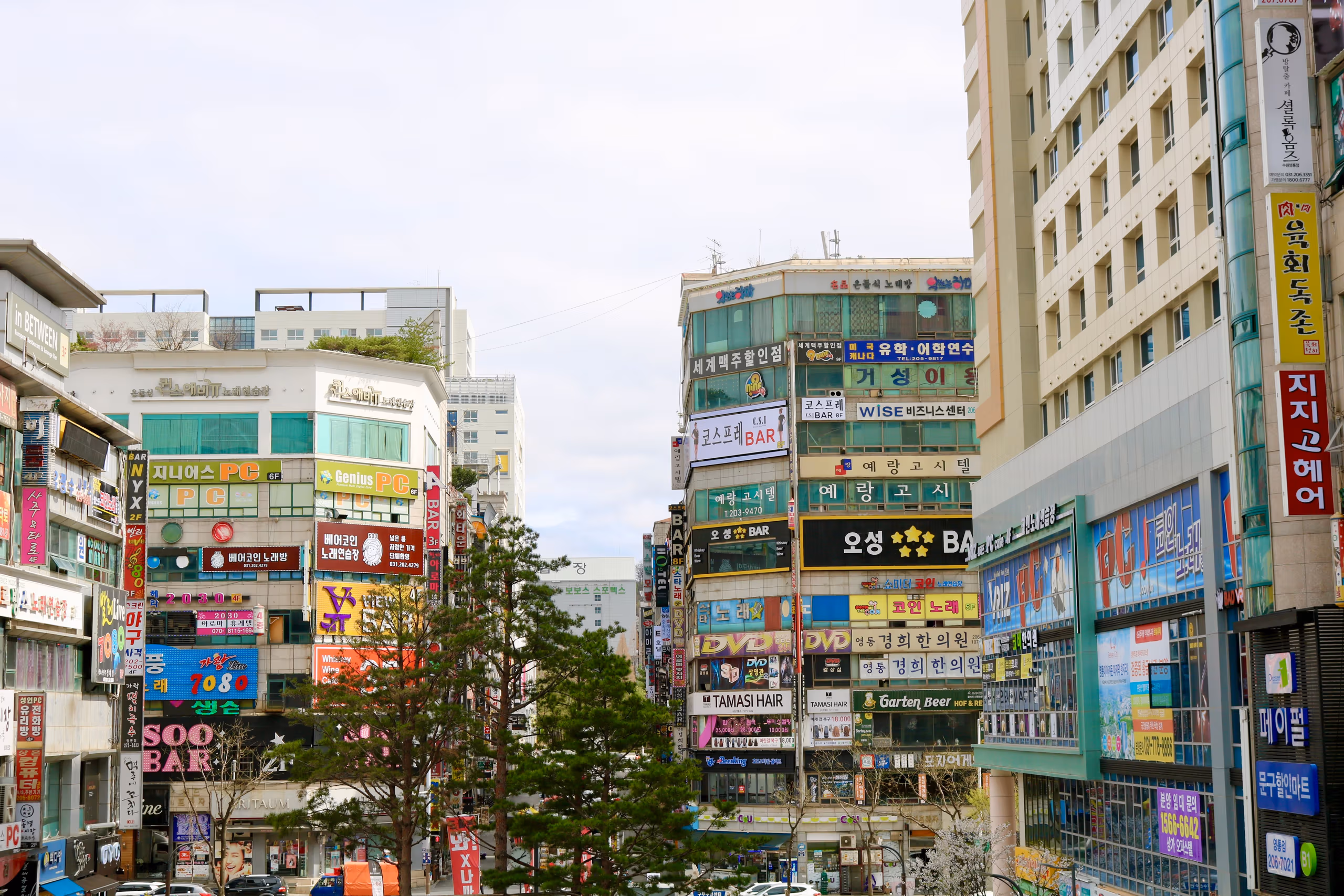 Deafness and Stress Fractures: The Physical Attrition of South Korea's Pop Idols
