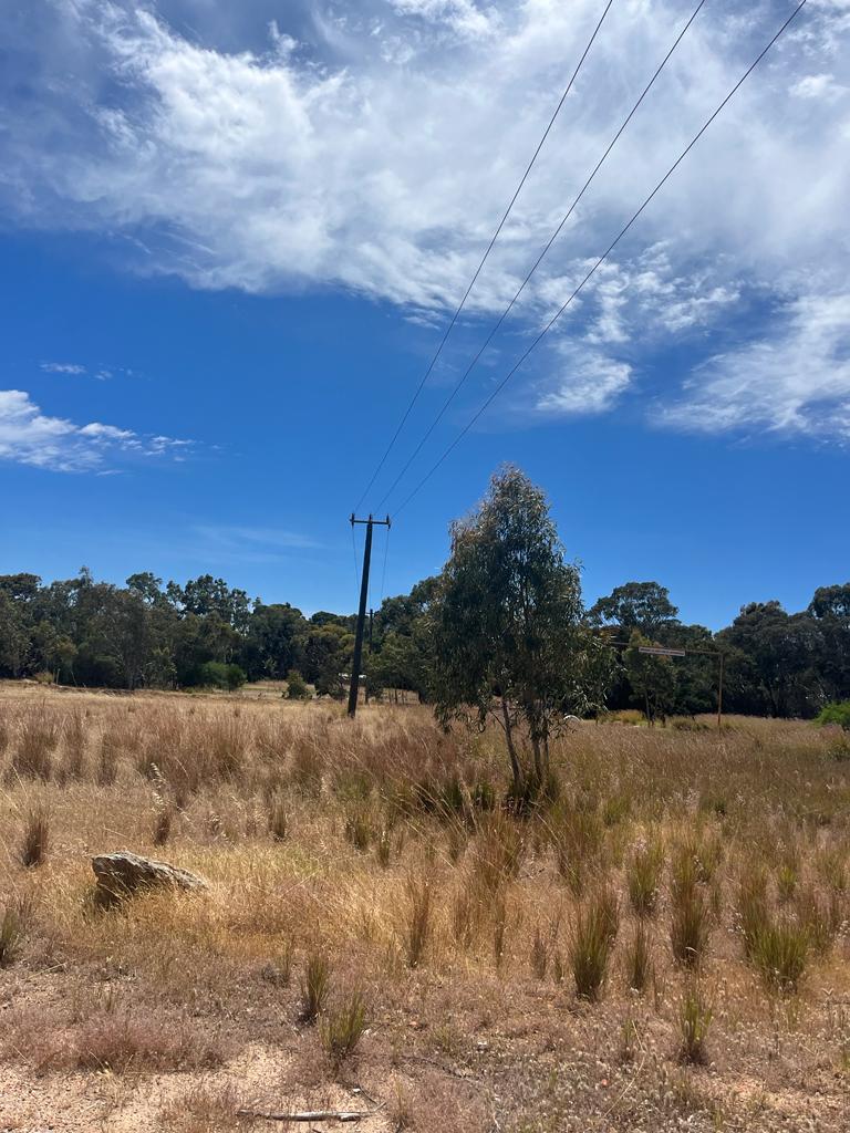 Perth's Power Pole Replacement Authority