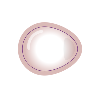 icon_Diaphragm