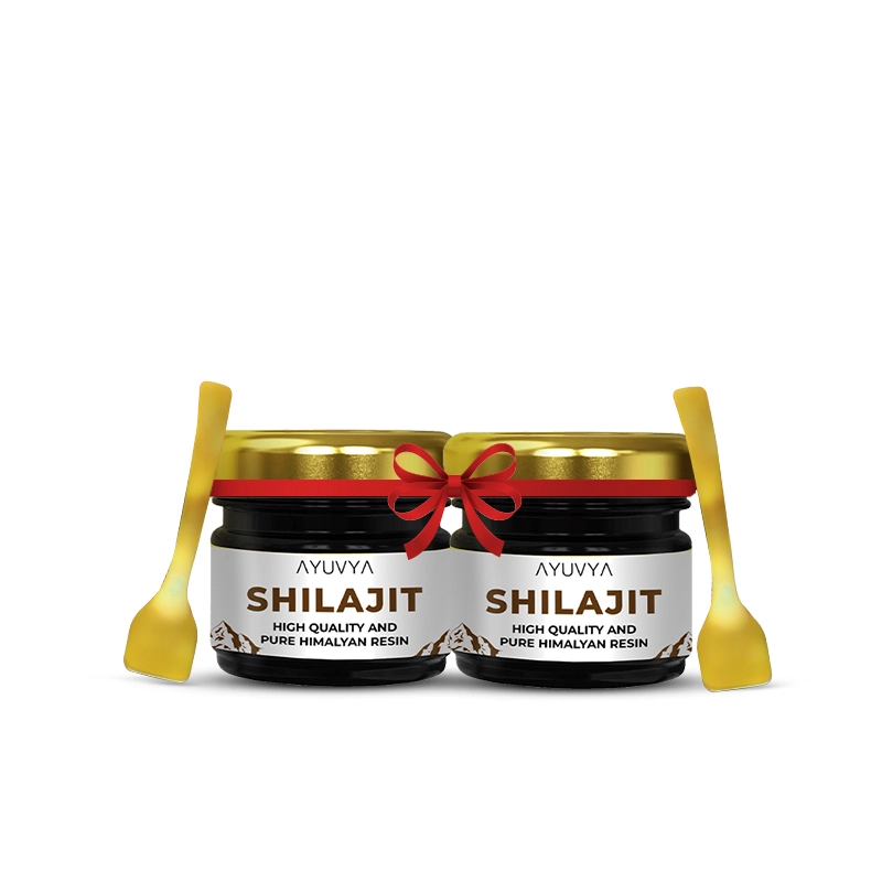 Buy Ayuvya Shilajit I Boost Immunity, Improve strength & stamina