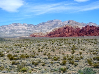 Red Rock Canyon National Conservation Area cover