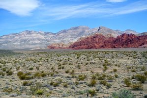 Picture of Las Vegas