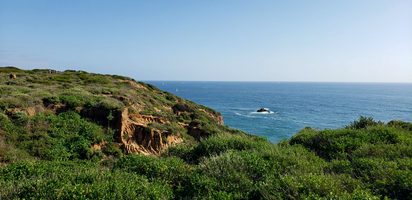 Picture of Dana Point