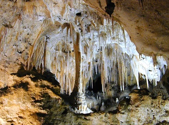 Carlsbad Caverns National Park cover