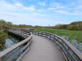 Everglades National Park cover