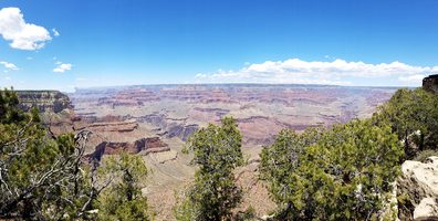 Picture of Grand Canyon Village