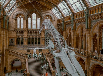 Natural History Museum cover