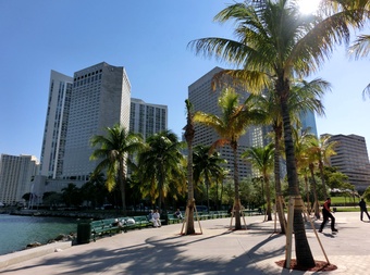 Miami picture
