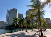 Picture of Miami