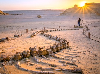 Wadi Al-Hitan National Park (Whale Valley) cover