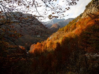 Albania