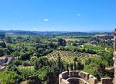 Picture of Carcassonne