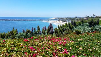Picture of Newport Beach