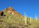 Picture of Tucson