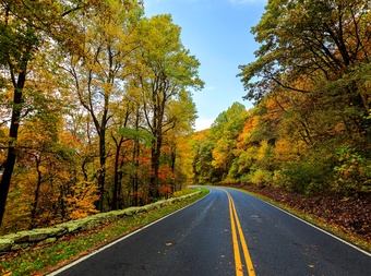 Shenandoah National Park cover