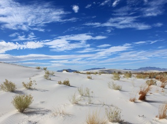 White Sands National Park cover