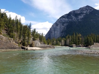 Bow Falls Viewpoint cover