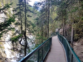 Johnston Canyon cover