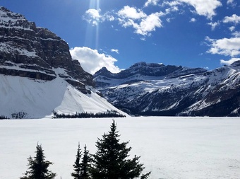 Bow Summit and Peyto Lake cover