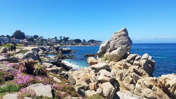 Picture of Pacific Grove