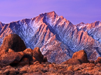 Lone Pine picture