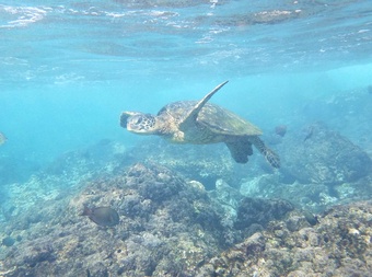 5 days in Maui
