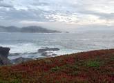 Picture of Mendocino