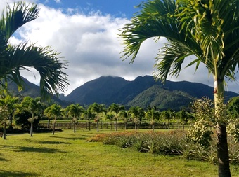 Maui Tropical Plantation cover