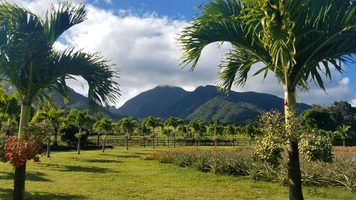 Picture of Wailuku