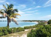 Picture of Big Pine Key