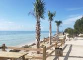 Picture of Big Pine Key