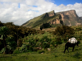 Simien Mountains National Park cover