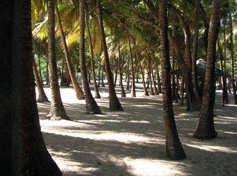 Plage de Pompierre picture