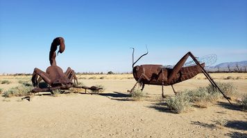 Picture of Borrego Springs