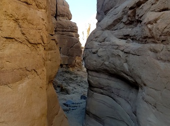 Weekend in Anza-Borrego